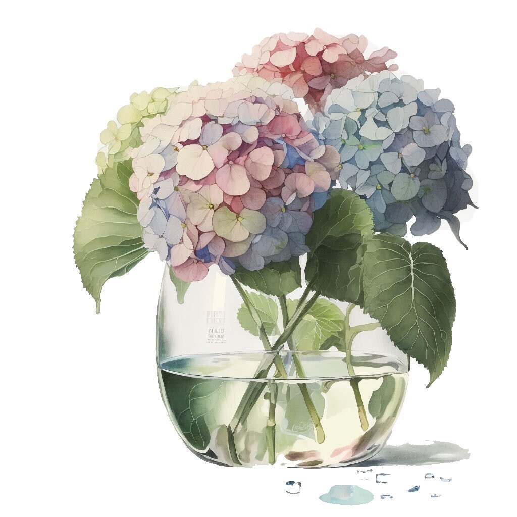 10 Hydrangea Clipart, Hydrangea in a Glass Vase, Floral Clipart ...