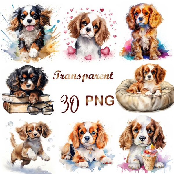 30 Cavalier King Charles Spaniel Puppy Clipart Watercolor PNG, Commercial use, Digital Download, Card Making, Clip Art, Digital Paper Craft