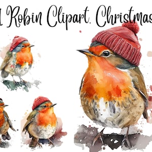 11 Robin Clipart, Christmas robin clipart, red robin clipart, robin illustration,garden birds clipart,Commercial Use,Digital Download