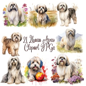 21 Lhasa Apso Clipart  JPGs, High Quality JPGs, Watercolor Clipart, Digital Download, Card Making,Clip Art, Digital Paper Craft, Lhasa Apso