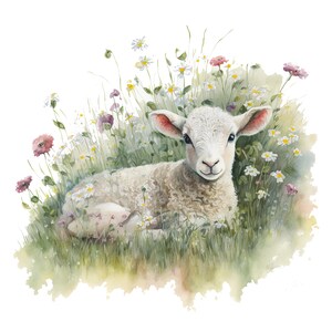 Op de afbeelding: Waterverfillustratie van een lammetje dat in een veld met wilde bloemen ligt. Het lam heeft witte wol en roze oren. Madeliefjes en roze bloemen omringen het lam in een grasrijke weide, wat een serene sc&egrave;ne cre&euml;ert.
