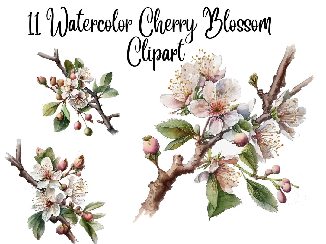 11 Cherry Blossom Clipart, Jpgs, High Quality, Digital Download, Card Making, Mixed Media