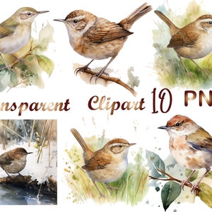 10 Wren Clipart, Wren PNG, Bird Robin PNG, Wren Sublimation, Bird Clipart, Wren Watercolor, Wren clip art,Digital download, Commercial USe