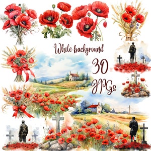 30 Remembrance Day Scene Clipart, JPGs, Scarlet Poppies, Digital Download, Digital Paper Craft, Card Making, Commercial Use