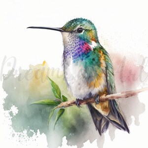 May include: Watercolor painting of a hummingbird perched on a branch. The bird features iridescent green, blue, purple, and yellow feathers. The background has soft watercolor washes of green, pink, and yellow.