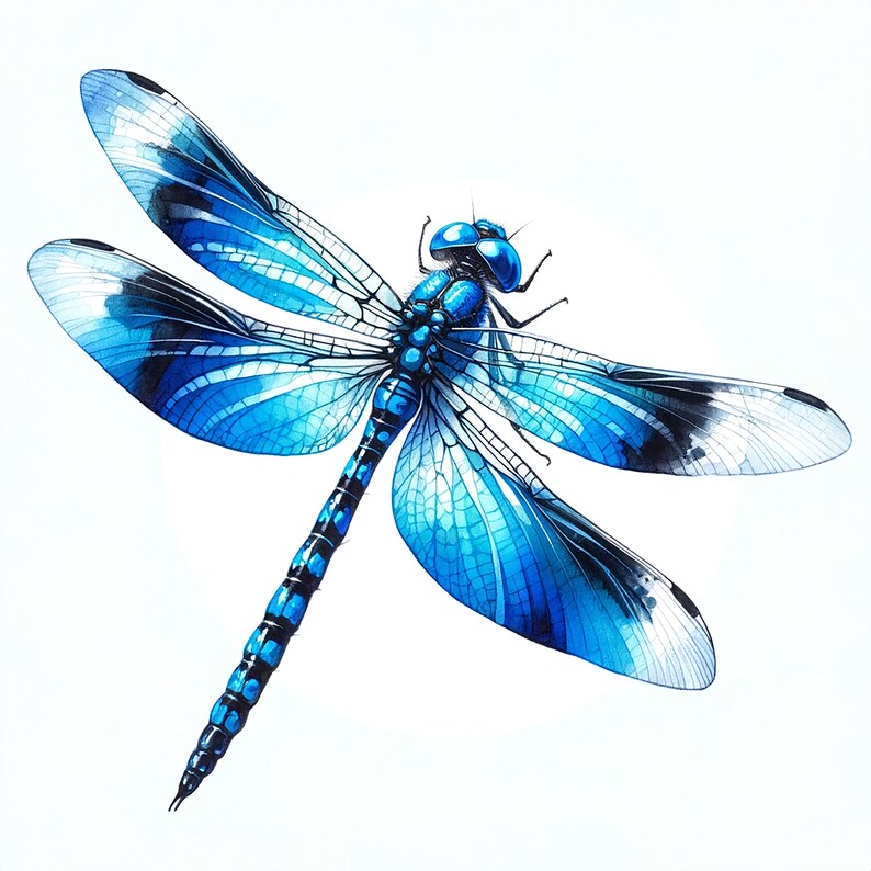 May include: A blue dragonfly with black markings on its wings, painted in a watercolor style against a white background.