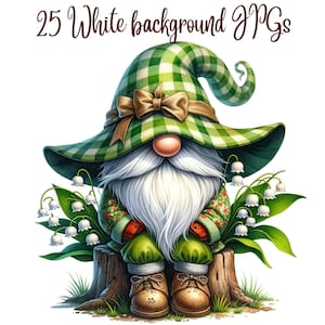 25 JPGs, Geburtsmonat Blume Clipart, Geburtsmonat Blumenzwerg, Maiglöckchen, niedlicher Gnom, niedlicher Zwerg, niedliches Gnom, niedliches Gnom, Gnom, Gnom Clipart