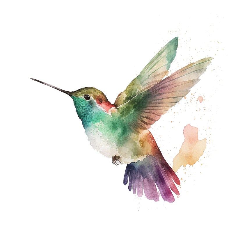 May include: Watercolor painting of a hummingbird in flight. The bird features a long, slender beak and outstretched wings. Its feathers are a blend of green, red, purple, and brown hues, with a white chest. The background is white.