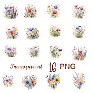 Peut inclure: Un ensemble de 16 illustrations &agrave; l'aquarelle de diff&eacute;rents bouquets de fleurs sauvages. Les fleurs sont dans des tons de rose, violet, bleu, jaune et blanc. Les bouquets sont dispos&eacute;s en grille sur un fond blanc. Le texte "Transparent 16 PNG" est en bas de l'image.