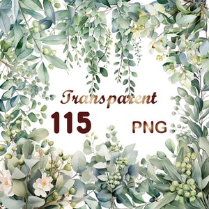 115 Aquarel eucalyptusbladeren clipart PNG, groen blad, groen aquarel clipart, groen bundel clipart, botanische clipart, bruiloft clipar