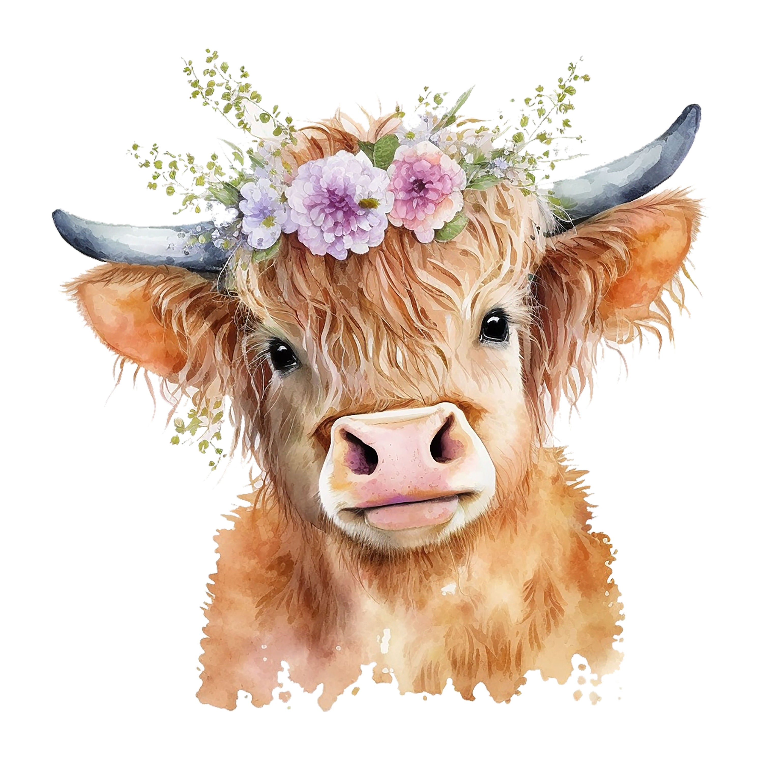 Avaleigh Highland Cow Floral on White — LBK Printing Co.