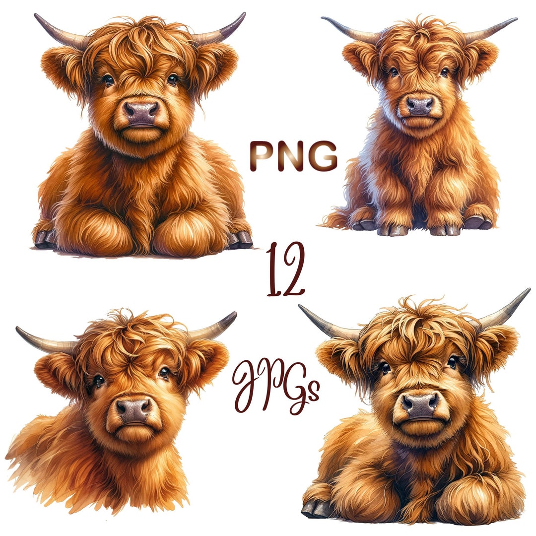 12PNG JPG, Watercolor Baby Highland Cow Clipart, Farm Animal ...