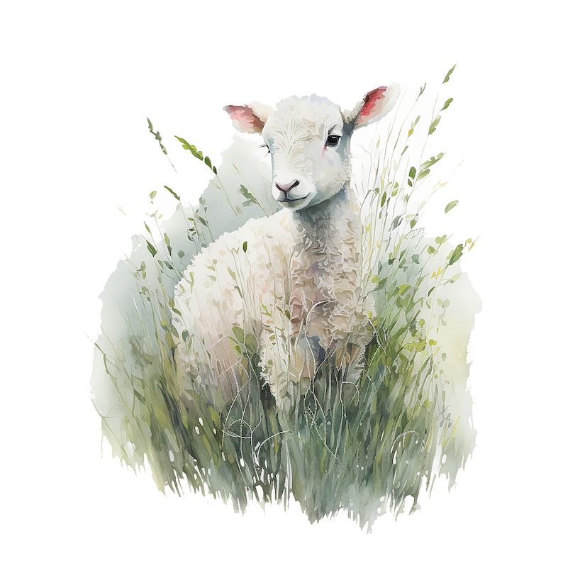 May include: Watercolor illustration of a white lamb with pink-tinged ears, nestled among green and light green blades of grass. The lamb has a fluffy, textured coat and is looking to the side. The artwork has a soft, dreamy quality.