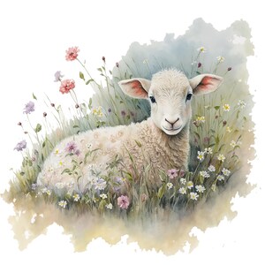 Op de afbeelding: Waterverfillustratie van een lammetje dat in een veld met wilde bloemen ligt. Het lam heeft witte wol en roze oren. De bloemen zijn roze, paars en wit, met groen gras en een zachte, bewolkte achtergrond.