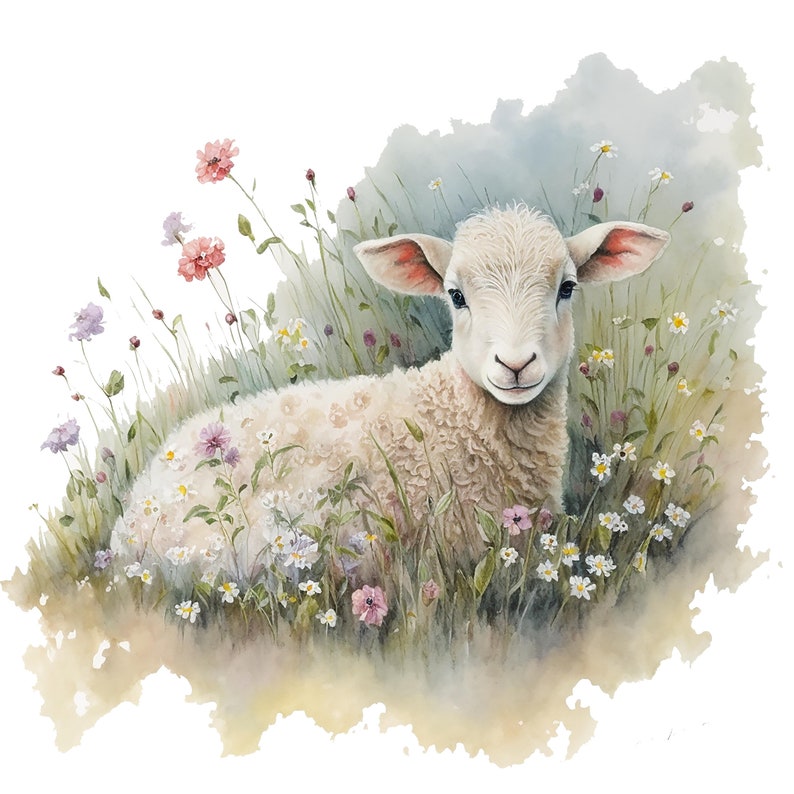 Op de afbeelding: Waterverfillustratie van een lammetje dat in een veld met wilde bloemen ligt. Het lam heeft witte wol en roze oren. De bloemen zijn roze, paars en wit, met groen gras en een zachte, bewolkte achtergrond.
