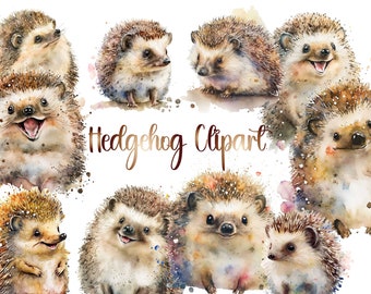 Hedgehog clipart, hedgehog png, hedgehog clip art, cute hedgehog, animal clipart, woodland clipart, watercolor hedgehog, commercial use