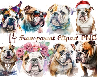 14 Bulldog Clipart png, Bulldog Puppy Clipart, Watercolor Clipart, Bulldog PNG, commercial use, digital download, Bulldog sublimation