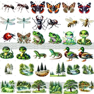 Puede incluir: Una colecci&oacute;n de ilustraciones en acuarela que representan varios insectos, anfibios, reptiles y paisajes. La imagen incluye hormigas, mariposas, lib&eacute;lulas, escarabajos, abejas, una mariquita, ranas, serpientes, lagartos, patos, &aacute;rboles y vistas panor&aacute;micas.