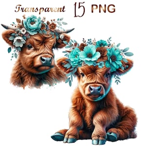15 PNG, Watercolor Highland Calf Clipart,highland cow png, highland cow clipart,highland cow shirt,cute cow png, highland heifer png,cow png