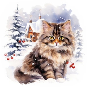 Puede incluir: Un gato atigrado marrón y blanco de pelo largo se sienta en la nieve frente a un pequeño edificio de ladrillo rojo con un techo blanco cubierto de nieve. El gato tiene ojos amarillos y una cola larga. Hay pinos cubiertos de nieve en el fondo.