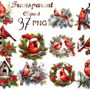 37 Christmas Red Cardinal Clipart PNG, Watercolor clipart PNG, bird clipart, PNG, Watercolor, Commercial Use,Digital Download