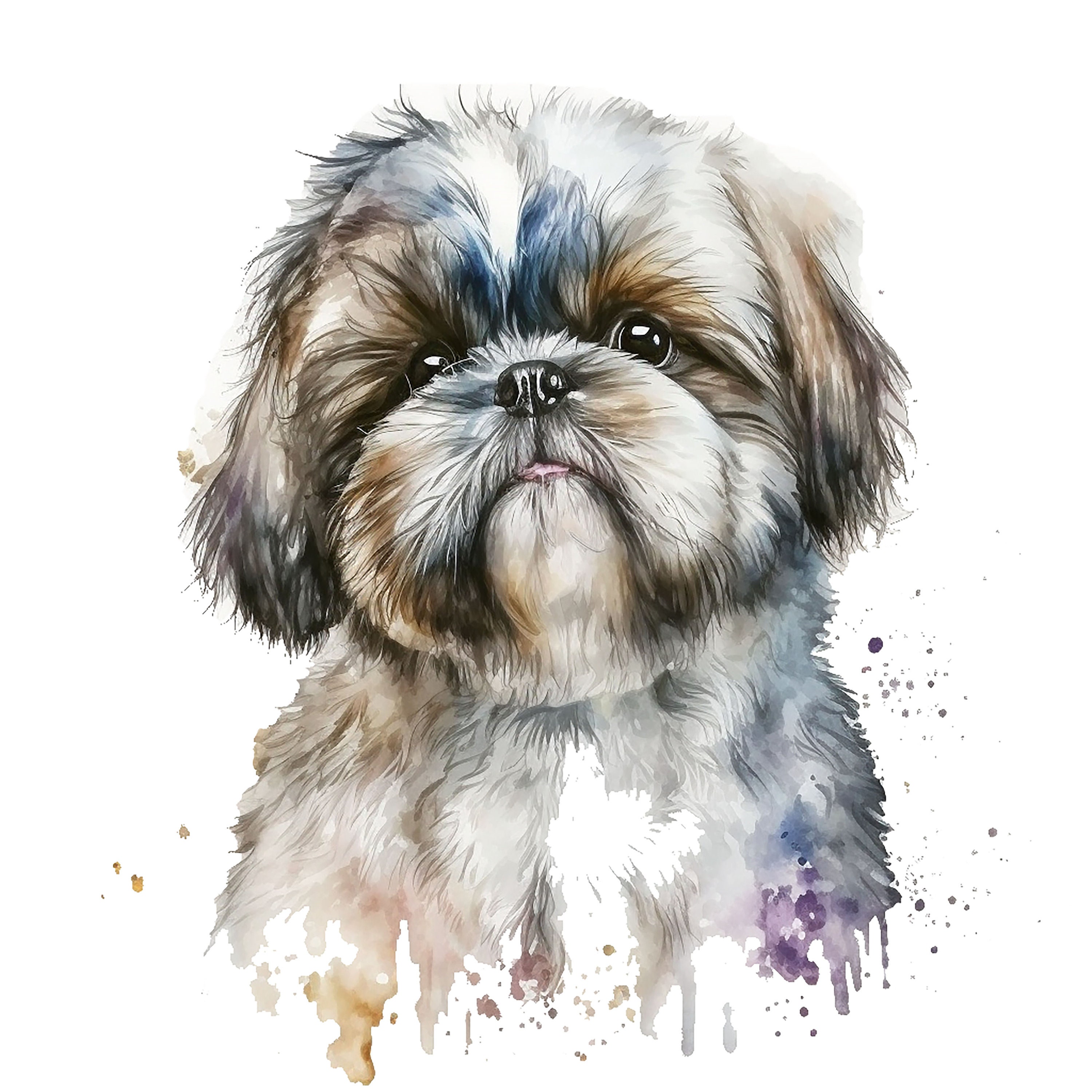 10 Shih Tzu Puppy Clipart Jpgs, High Quality Jpgs, Watercolor Clipart ...