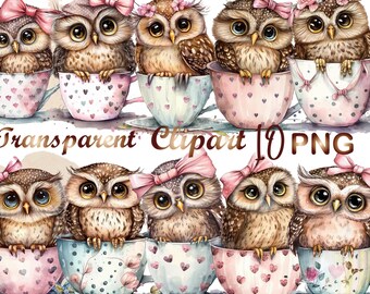 10 Owl in a Cup Clipart, png, Owl clipart, Owl in a cup clipart, Owl sublimation, commercial use, digital download, sublimation design