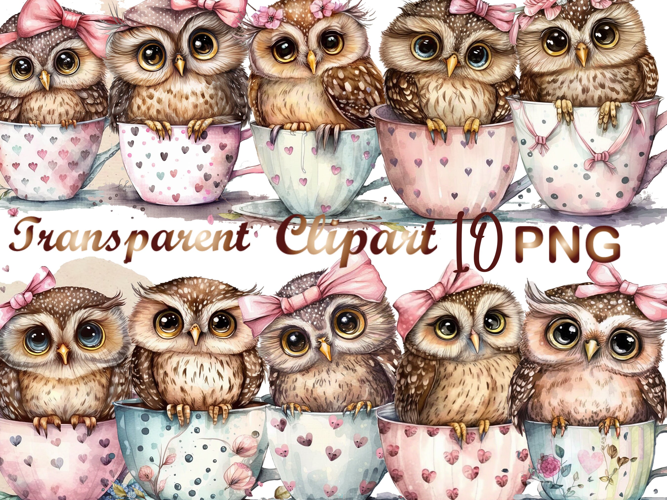 10 Owl in a Cup Clipart, png, Owl clipart, Owl in a cup clipart, Owl sublimation, commercial use, di