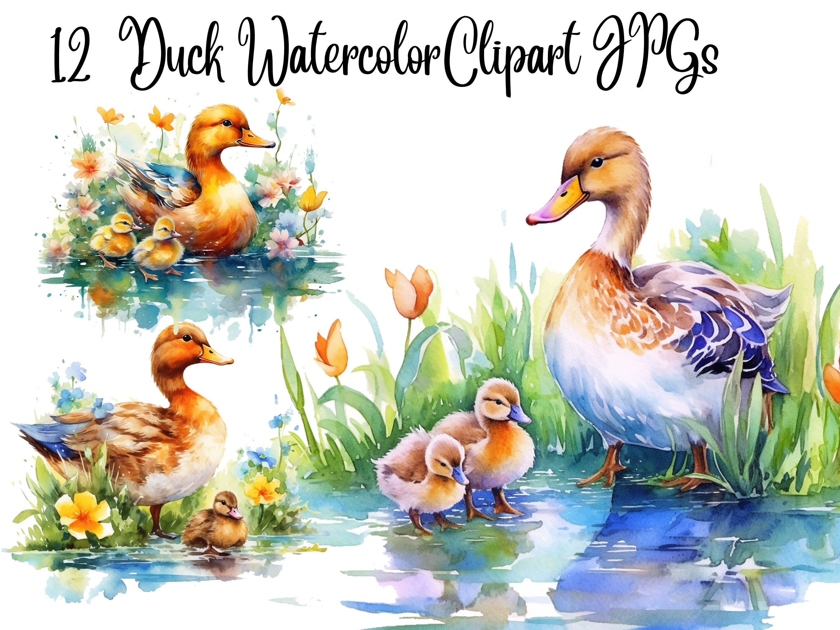 DUCKLINGS.IO - Jogue Grátis Online!