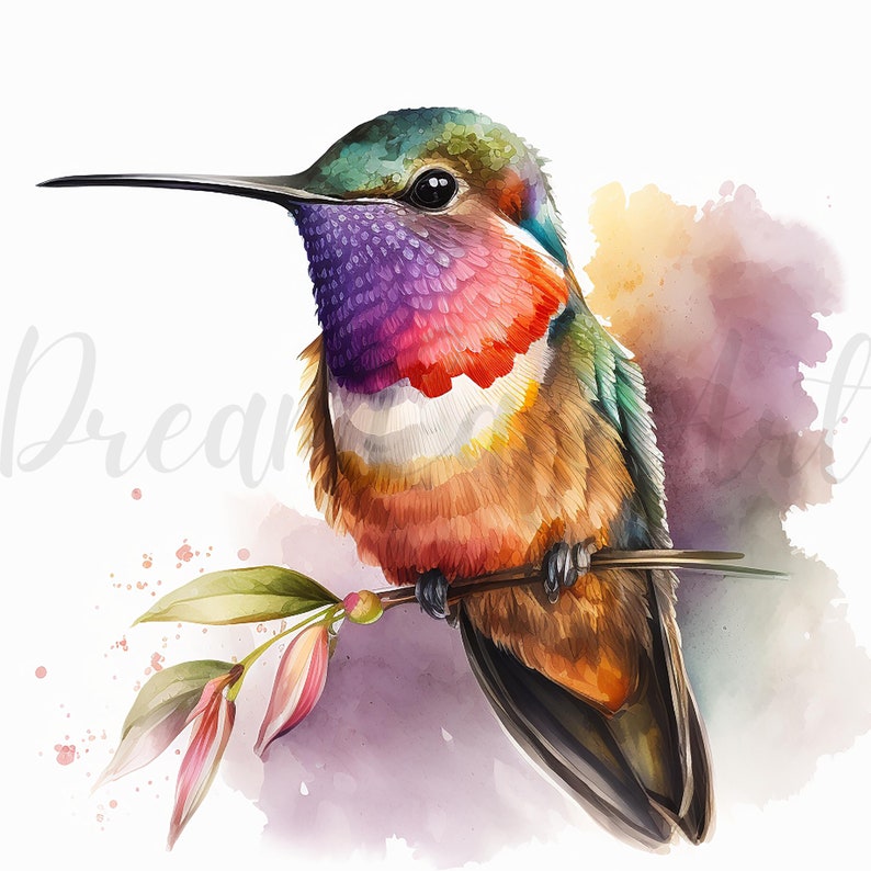 May include: Watercolor illustration of a hummingbird perched on a branch. The bird features vibrant colors, including green, purple, red, and orange. The background has soft watercolor washes in pink and yellow. The word "Dream" is written in cursive.