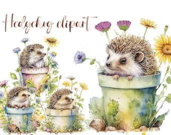6 Hedgehog clipart, hedgehog png, hedgehog clip art, cute hedgehog, animal clipart, woodland clipart, watercolor hedgehog, commercial use