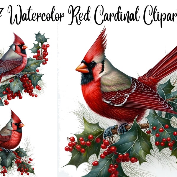7 Christmas Red Cardinal Clipart, Watercolor clipart, bird clipart, JPGs, Watercolor, Commercial Use,Digital Download