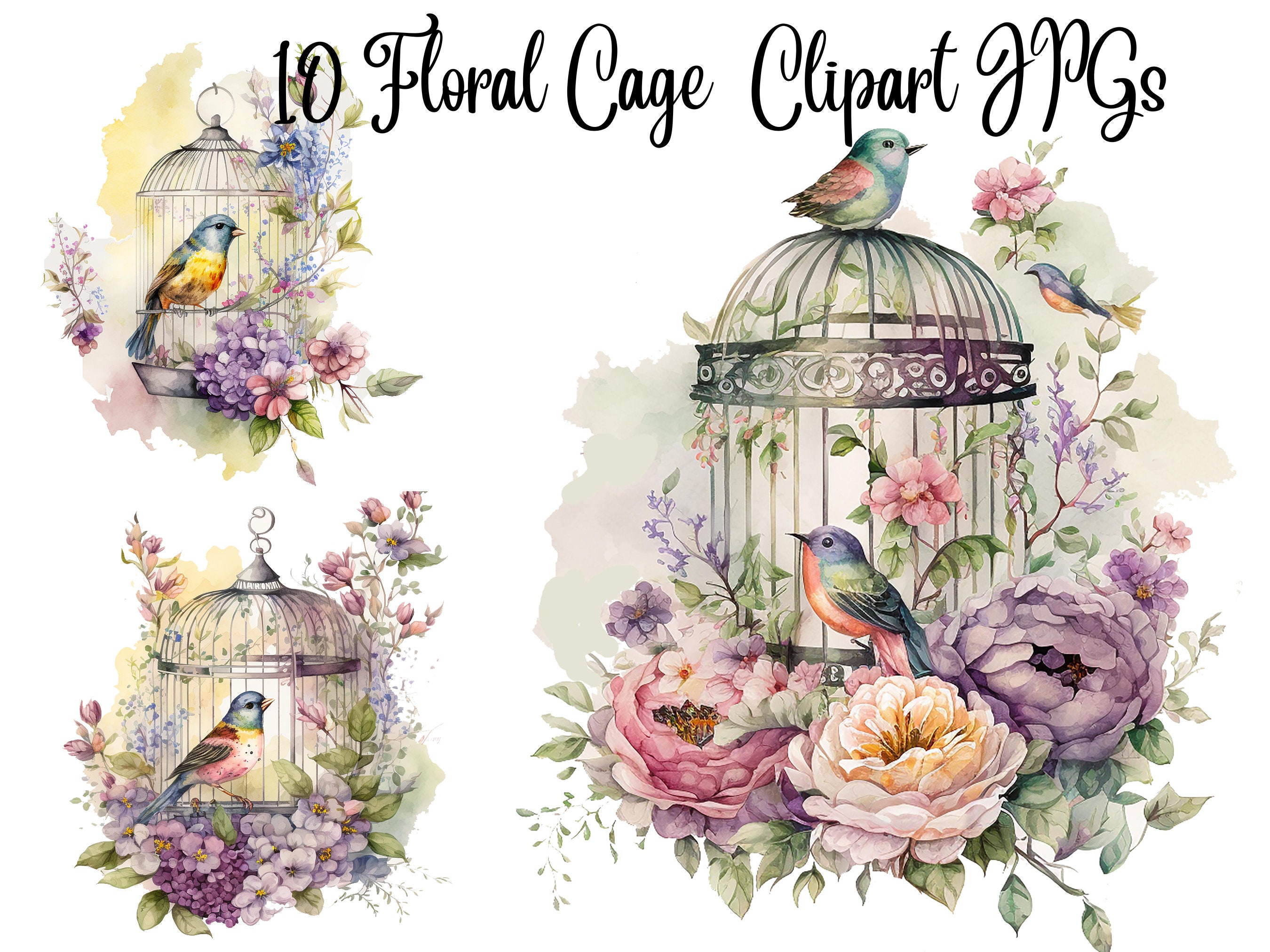 10 Floral Cage Clipart, Bird Clipart, Jpgs, Commercial Use, Digital  Download, Card Making, Mixed Media, Digital Craft, Watercolor Clipart 