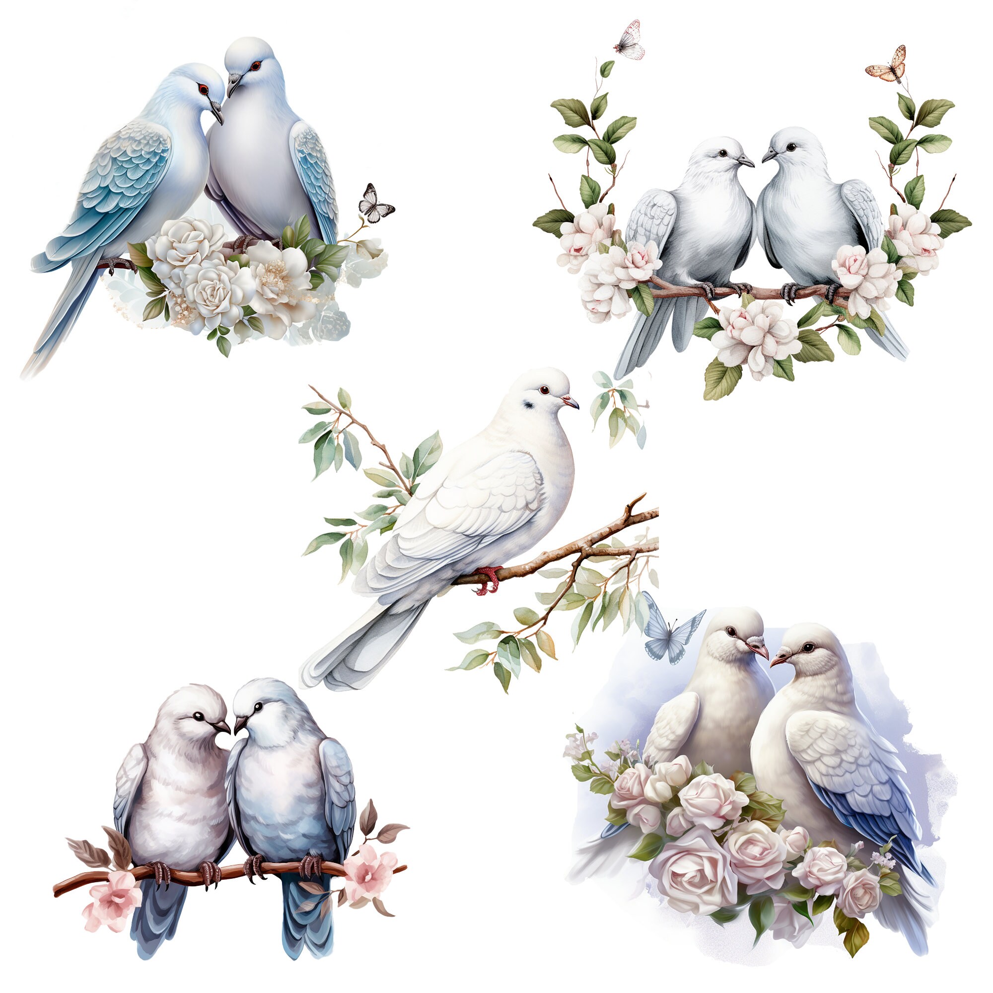 15 Watercolor Dove Clipart PNG, Summer Bird Clip Art, Romantic Doves ...