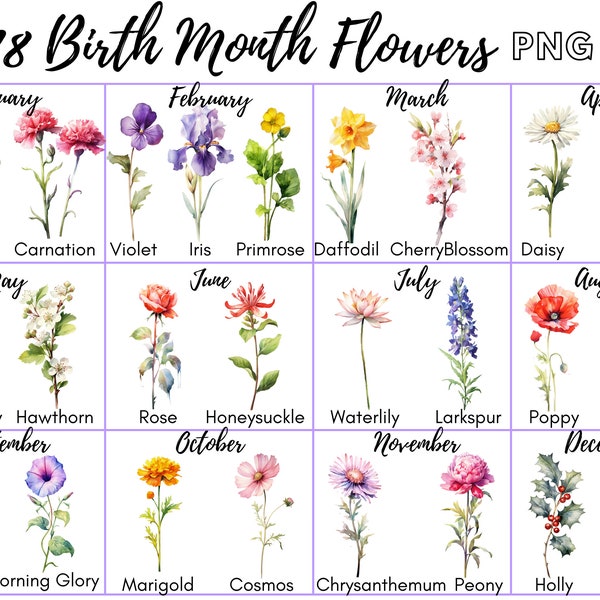 Birth Month Flower - Etsy