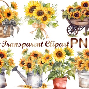 May include: A set of 14 watercolor clipart images featuring sunflowers in various arrangements. The sunflowers are yellow with brown centers and green leaves. Some images feature sunflowers in a basket, a wheelbarrow, a watering can, and a pot. The images are perfect for adding a touch of summer to your crafts and designs.