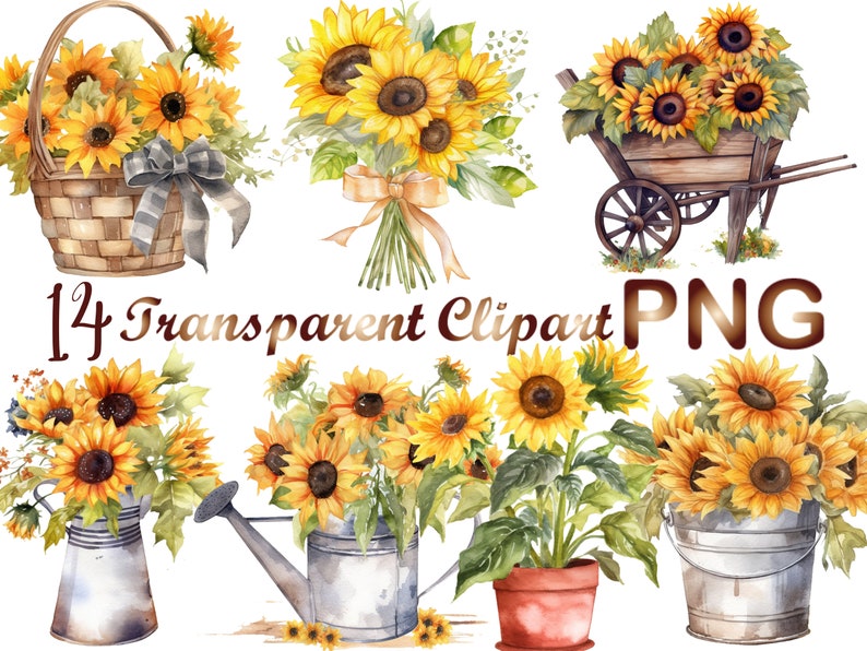 May include: A set of 14 watercolor clipart images featuring sunflowers in various arrangements. The sunflowers are yellow with brown centers and green leaves. Some images feature sunflowers in a basket, a wheelbarrow, a watering can, and a pot. The images are perfect for adding a touch of summer to your crafts and designs.