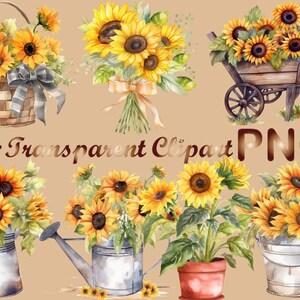 May include: A set of 14 watercolor sunflower clipart images. The images feature sunflowers in various arrangements, including a basket, a wheelbarrow, watering cans, and a potted plant. The sunflowers are yellow with brown centers and green leaves.