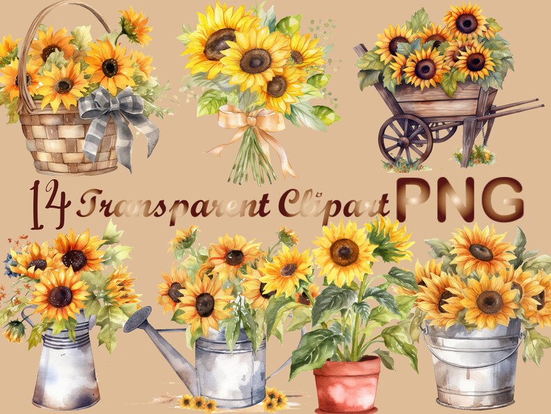 May include: A set of 14 watercolor sunflower clipart images. The images feature sunflowers in various arrangements, including a basket, a wheelbarrow, watering cans, and a potted plant. The sunflowers are yellow with brown centers and green leaves.