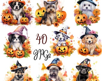 Könnte beinhalten: Ein digitaler Clipart-Satz mit 40 Halloween-Bildern, die niedliche Hunde zeigen, die Hexenhüte tragen und Kürbisse halten. Die Hunde sind in verschiedenen Rassen und Posen, mit einem aquarellartigen Stil.