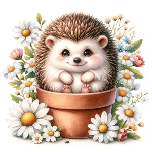 15PNG/JPG, Lot hérisson floral, Utilisation commerciale gratuite, Téléchargement numérique, Fabrication de cartes, Technique mixte, Créations numériques en papier