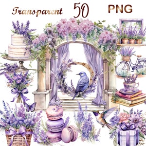 50 Pastel Watercolor Lavender Clipart, Lavender png, lavender clipart, lavender clip art, lavender flowers, lavender bouquet