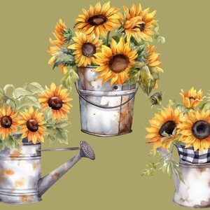 May include: Three vintage metal watering cans with sunflowers in bloom. The watering cans are painted in a rustic style with a distressed finish. The sunflowers are yellow with brown centers and green leaves.