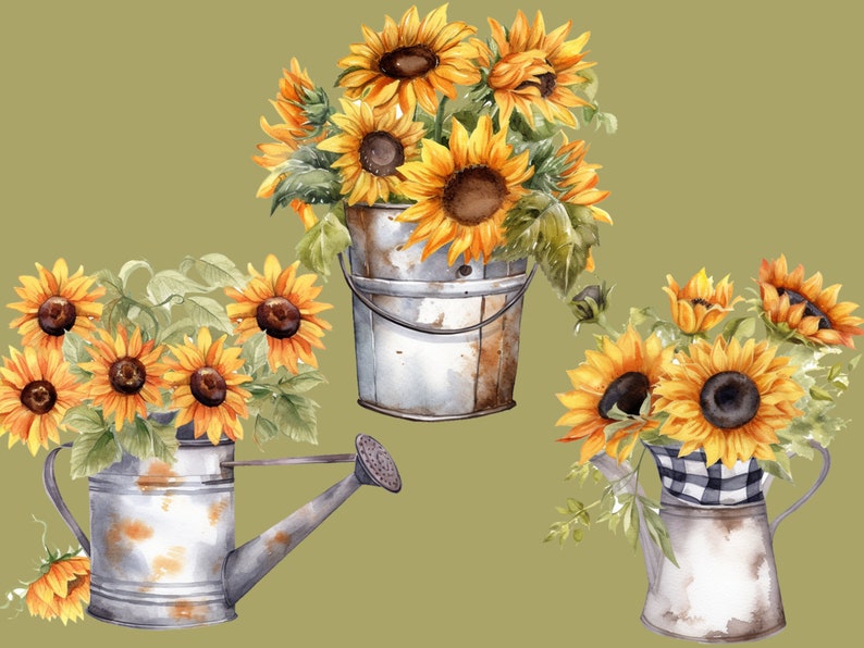 May include: Three vintage metal watering cans with sunflowers in bloom. The watering cans are painted in a rustic style with a distressed finish. The sunflowers are yellow with brown centers and green leaves.