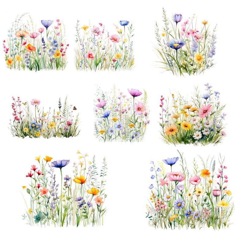 commercial use png,flower clipart,meadow flower png,summer clipart,watercolor clipart,wild floral clipart,wildflower bundle,wild flower clipart,wildflower clipart,wildflower meadow,wildflower png,wild flowers clipart,wildflowers clipart
