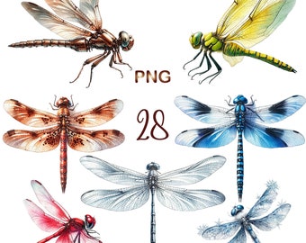 28 PNG, Dragonfly Clipart bundle, Watercolor Dragonfly, dragonflies clipart, Commercial use, Digital Download, Paper crafts, Junk Journals,