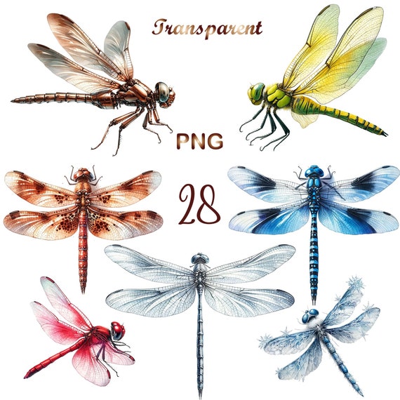 28 PNG, Dragonfly Clipart bundle, Watercolor Dragonfly, dragonflies clipart, Commercial use, Digital Download, Paper crafts, Junk Journals,