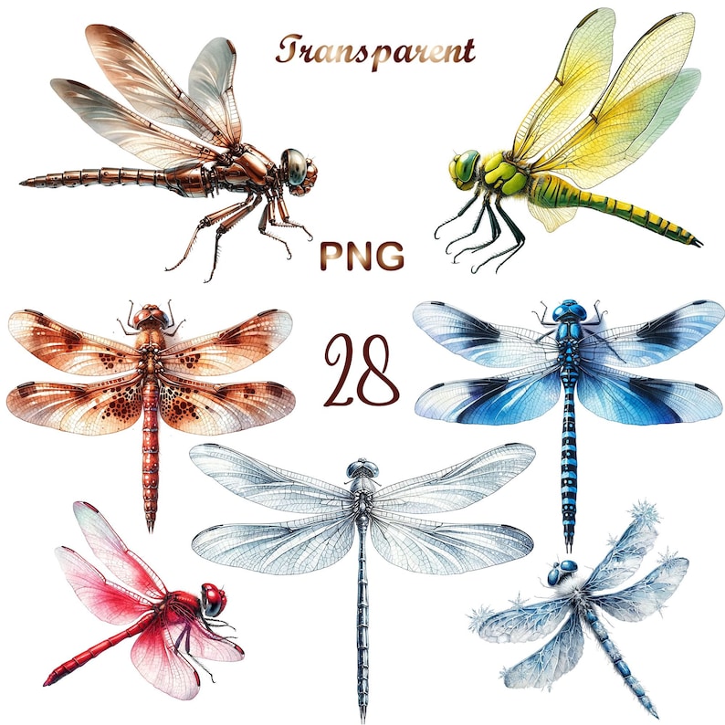 Watercolor Dragonflies Clipart, painted dragonfly clipart, insect illustrations, PNG graphics, scrapbook embellishments commercial use