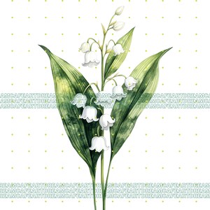 Lily of the Valley Watercolor Clipart, 70 Convallaria Majalis Flowers ...