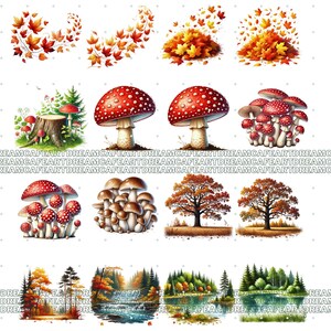 Puede incluir: Una colecci&oacute;n de ilustraciones en acuarela con temas oto&ntilde;ales. Las im&aacute;genes incluyen hojas cayendo, setas con sombreros rojos y puntos blancos, varias especies de &aacute;rboles y paisajes forestales con lagos y r&iacute;os.